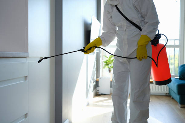 Trusted Stevenson, WA Mold Removal Experts